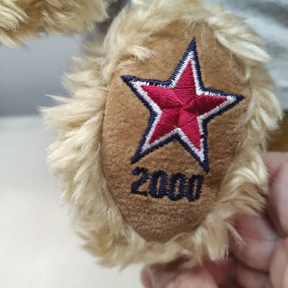 GUND Stars & Stripes Summer Wish Bear Plush 2000 Limited Ed‎ May Dept Store Toy